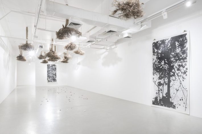 PLA_Installation-View-06-1349x900