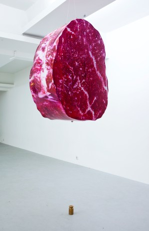 45841541314_c3325fd03e_o_d